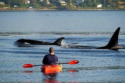 Image de Beach Home w/King & Queen bed + Wi-Fi see Whales/Eagles Minutes to Seattle Ferry