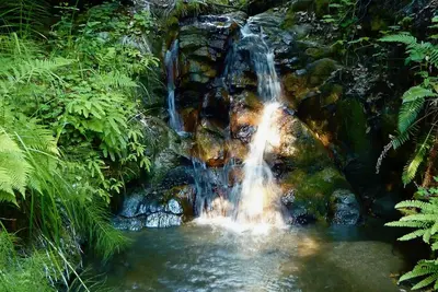 Image de Forest Cottage in Big Sur w/Private Hiking & Hot Tub
