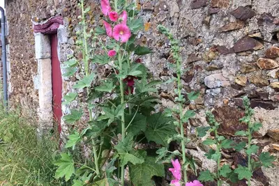 Image de Jolie ferme!