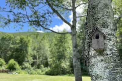 Image de Peaceful Cottage with Mountain Views