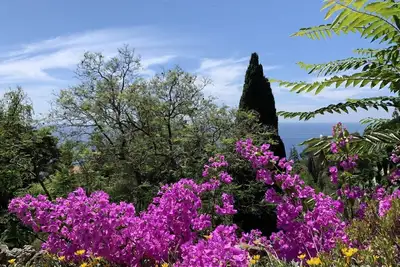 Image de apartment in 70´s  building in the Olive Jungle 3km off the mediterranean