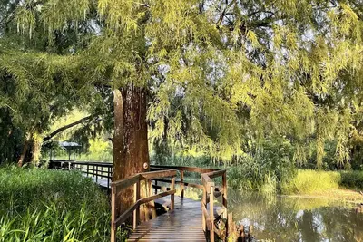 Image de Charming cabin on Lower Grand River — Bayou Pigeon, Louisiana