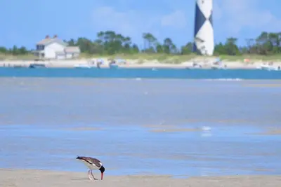 Image de Coastal SeaClusion Vacation Rental is located in Down East, Carteret County, Nc