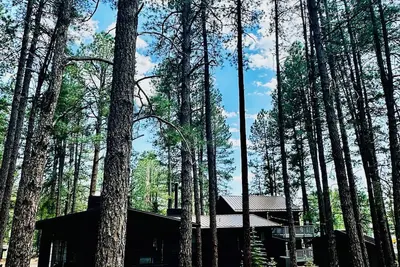 Image de Bear Treehouse - 1. 23 acres of cool pines and walking distance to fun!
