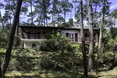 Image de Villa Le Menez pour 10 personnes sur grand terrain boisé vue à travers les pins sur le lac marin