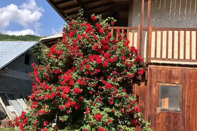 Image de Maison d'altitude poutres et pierre avec vue sur la vallée!