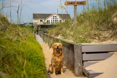 Image de Sandy Paws: Free Pool Heat for open fall weeks! Oceanfront- Elevator-4x4