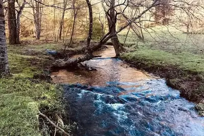 Image de Modern Creekside Cottage - Nearby Vineyards/Hiking