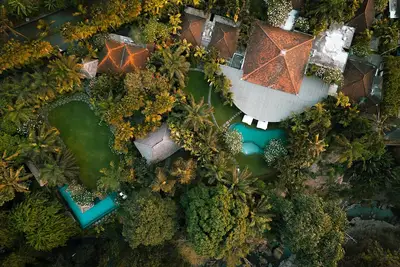 Image de Découvrez Tropical Paradise Dans ce domaine Riverfront Superbe