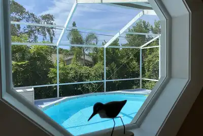 Image de Cozy Heated Pool Near the Beach