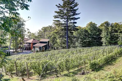 Image de Vignoble du Domaine des 3 Moulins Ă 20 min. de Qc