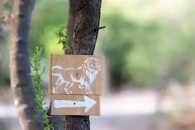 Image de Glamping in comfort between Maun and Moremi