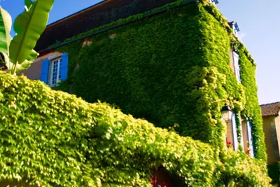Image de Maison de charme au coeur de Castelfranc