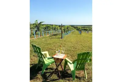 Image de Grapeseed: Your Peaceful Vineyard Retreat