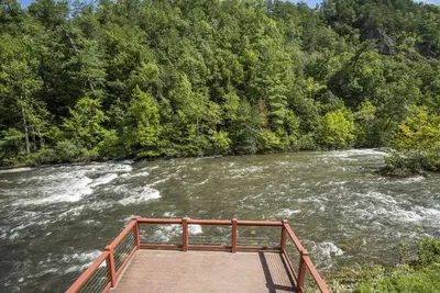 Image de Riverside Premium Cabin