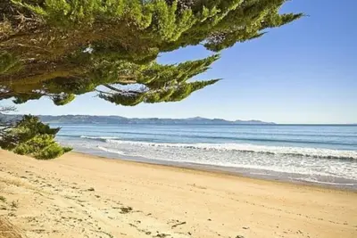 Kuaotunu Beachfront - the beach at your door