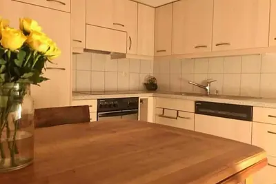 Image de Cosy apartment in heritage protected swiss chalet