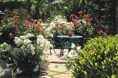 Image de Four Seasons Biltmore Inspiration