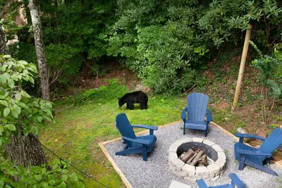 Image de Serenity View- FirePit, Game Room, Community Pools