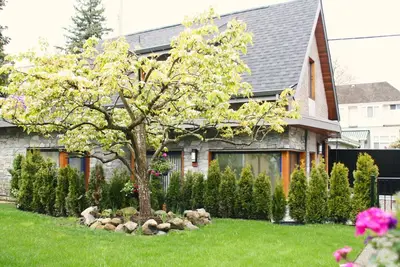 Image de Modern 3bdr Nordic Laneway House Avail. June 1 2024
