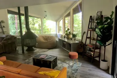 Mid-Century house in the Trees