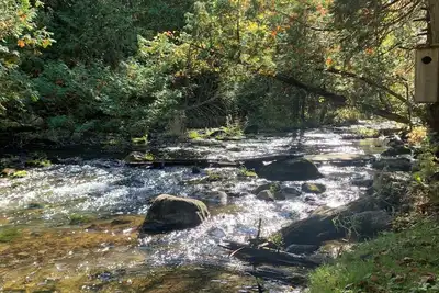 Image de Secluded modern house, 5 forested acres, running stream, hot tub, game room