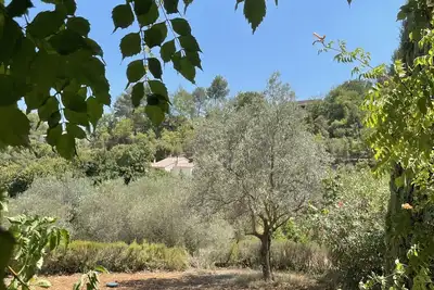 Image de 3 Bedroom Private vacation home in Callas
