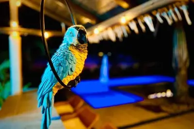Image de Island Breeze - Hawaiian experience in the desert!