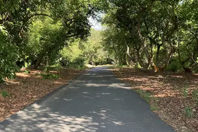 Image de Delightful newly renovated 2 bedroom nestled within an avocado grove.