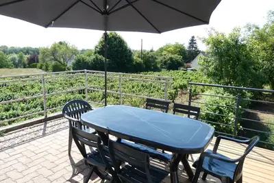 Image de Maison avec jardin entouré de vignes, et terrasse vue Loire