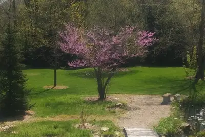 Image de Nature paradise. . . 13 acres with picnic and grilling patio.