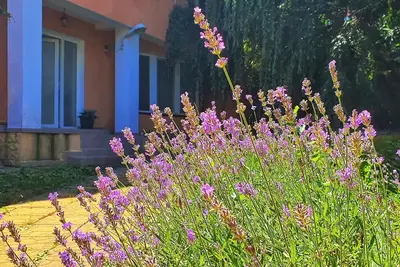 Image de Apartment close to the lake and beach