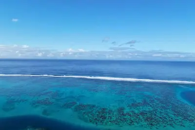 Image de Tahiti - Studio Tiamao Manini