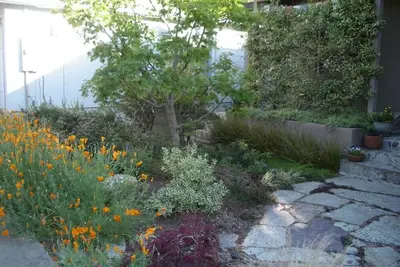 Image de Gorgeous eco-friendly Berkeley hills home & garden near Uc Berkeley