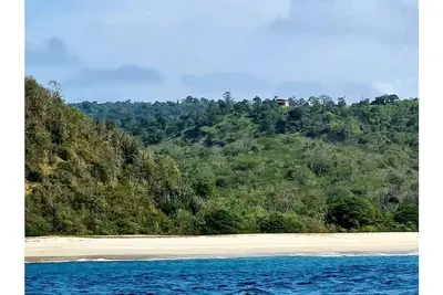Image de with 360 degree view of national park beach and forest