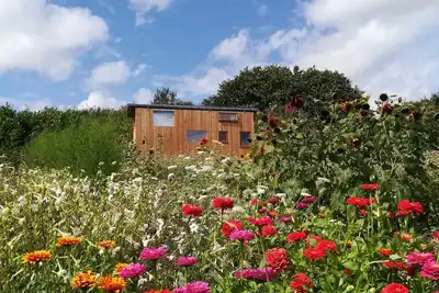 Image de Dans les pommiers, Tiny house à 20 minutes de l'océan