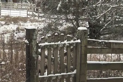 Image de Vintage villa-Country Living Guesthouse