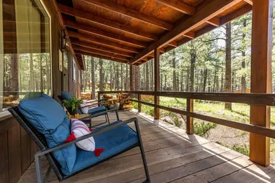 Image de Winter Snow! Book Now! Rogue Bear Cabin