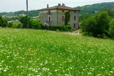 Image de Cento Giorni dall'Artist