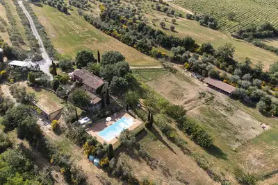 Olive tree house