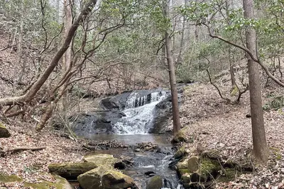 Image de Handicapped Friendly in Dahlonega
