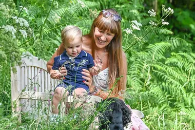 Image de Woodpecker Treehouse