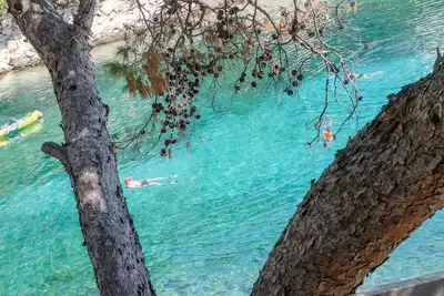 Image de Appartements Olivera (62371-A1) - Zaglav - île de Korcula