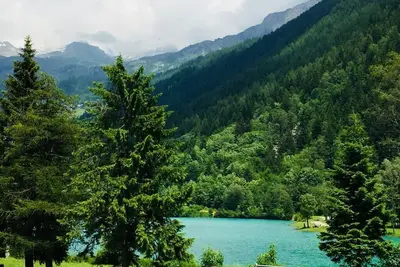 Holidays on the lake