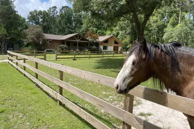 Image de Fairhope French Cottage close to beaches and Fairhope