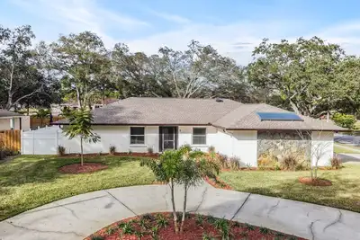 Image de Safety Harbor Pool Home