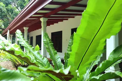 Dream Weaver Eco Homestay Sigiriya