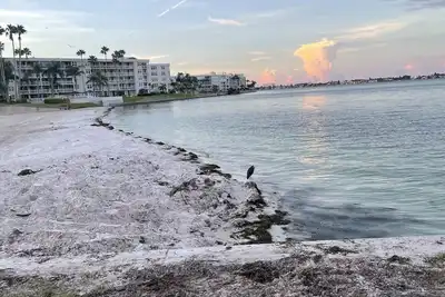 Image de Welcome to Paradise! Beautiful 2 bed, 2 bath condo.