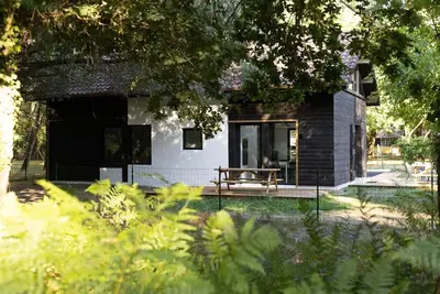 Image de Surf shelter - la maison (sans l'annexe) dans la forêt