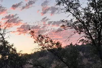 Image de 20 acre luxury glamping grounds